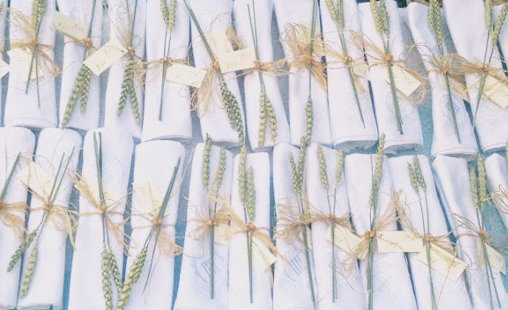 El Jardín de Julieta